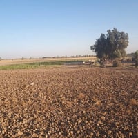 أرض زراعية • ٣٠دونم • نهر القائد