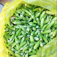 بانيه • درجة أولى • بدون منشطات