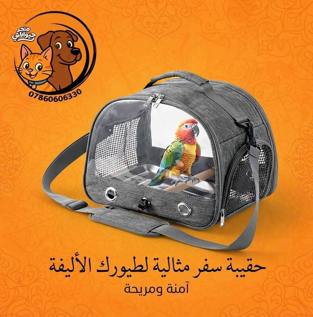 🐾 دلع أليفك.. لأنه يستهل الأفضل! 🐾
​هل تبحث عن كل ما يحتاجه صديقك الوفي في مكان واحد؟
في متجر حيواناتي لمستلزمات الحيوانات الأليفة ، نوفر لك عالماً متكاملاً من العناية، الحب، والدلال لأحبائنا الحيوانات الأليفة (قطط، كلاب، طيور، وغيرها)! 🐶🐱🦜
​🏠 مستلزمات الراحة: أسرّة مريحة، أقفاص آمنة، وحقائب تنقل عصرية، لتر بوكس بأنواعه، بوكس نقل بالوان مختلفه، مكرافه للرمل، مشط للشعر، لمامه، و رضاعات. 
​🎀 إكسسوارات مميزة و أطواق أنيقة. 
أسعار تنافسيه ومناسبه لمربي القطط الأعزاء 
للحجز *********** واتساب او مراسله الصفحه
يوجد توصيل لجميع محافظات العراق🚛
متجر حيواناتي لمستلزمات الحيوانات الأليفة🦮🐈🦜

نص مكتوب في الصور:
- متجر حيواناتي أفضل مستلزمات حيوانك الأليف - جودة وتنوع *********** www.haywanati.store Example City, Main Street
- متجر حيواناتي
- ***********
- منزل حيوانك الأليف المثالي
- توصيل متاح - جودة مضمونة
- supplementation Worry free high-capacity travel supplement *********** متجر حيواناتي مشربيه ومعلف مزدوج اقتصادي كبير
- متجر حيواناتي *********** حقيبة سفر مثالية لطيورك الأليفة آمنة ومريحة
- دلل صديقك المفضل!