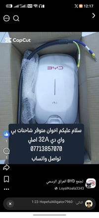شاحن • بي واي دي • 32A