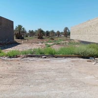 ١٠٠م • طابو زراعي • بين لحصوه والمشروع