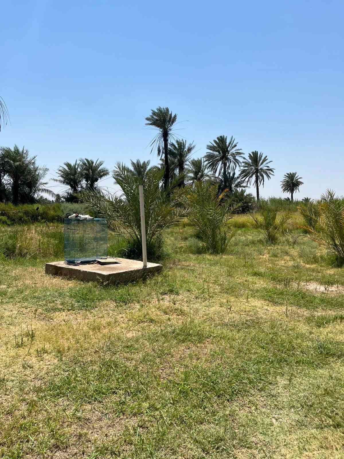 دونم ونص • بيتين • ٢٥٠م عن الطريق