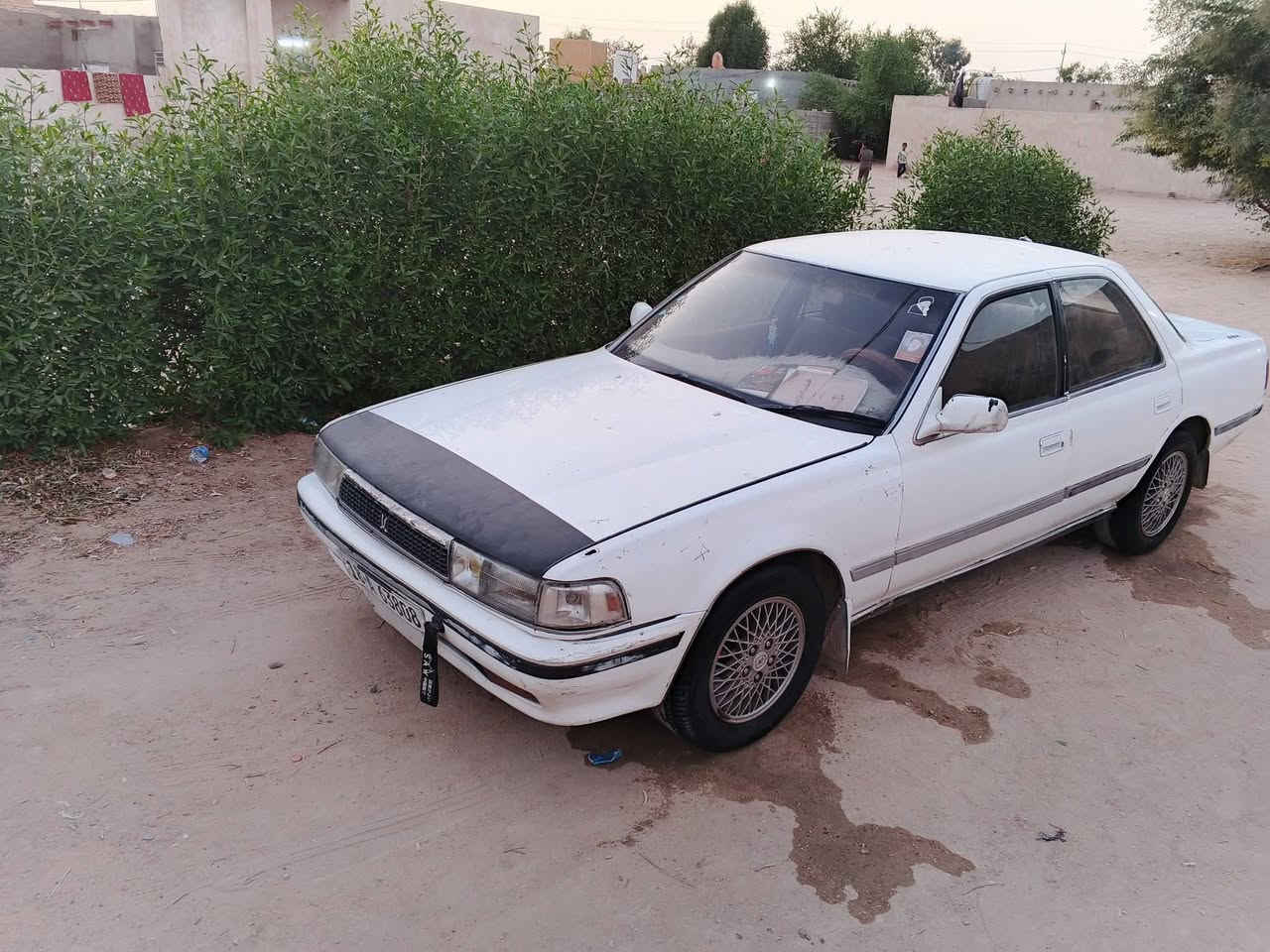 سلام عليكم كرسته تكم بسمي رقم بابل نكليزي 

سياره خير من الله مكاني طريق نجف كربلاء

السنويه جديده السعر ٣٦  وترهم مراوس. بكوري 
 
***********بي واتساب
