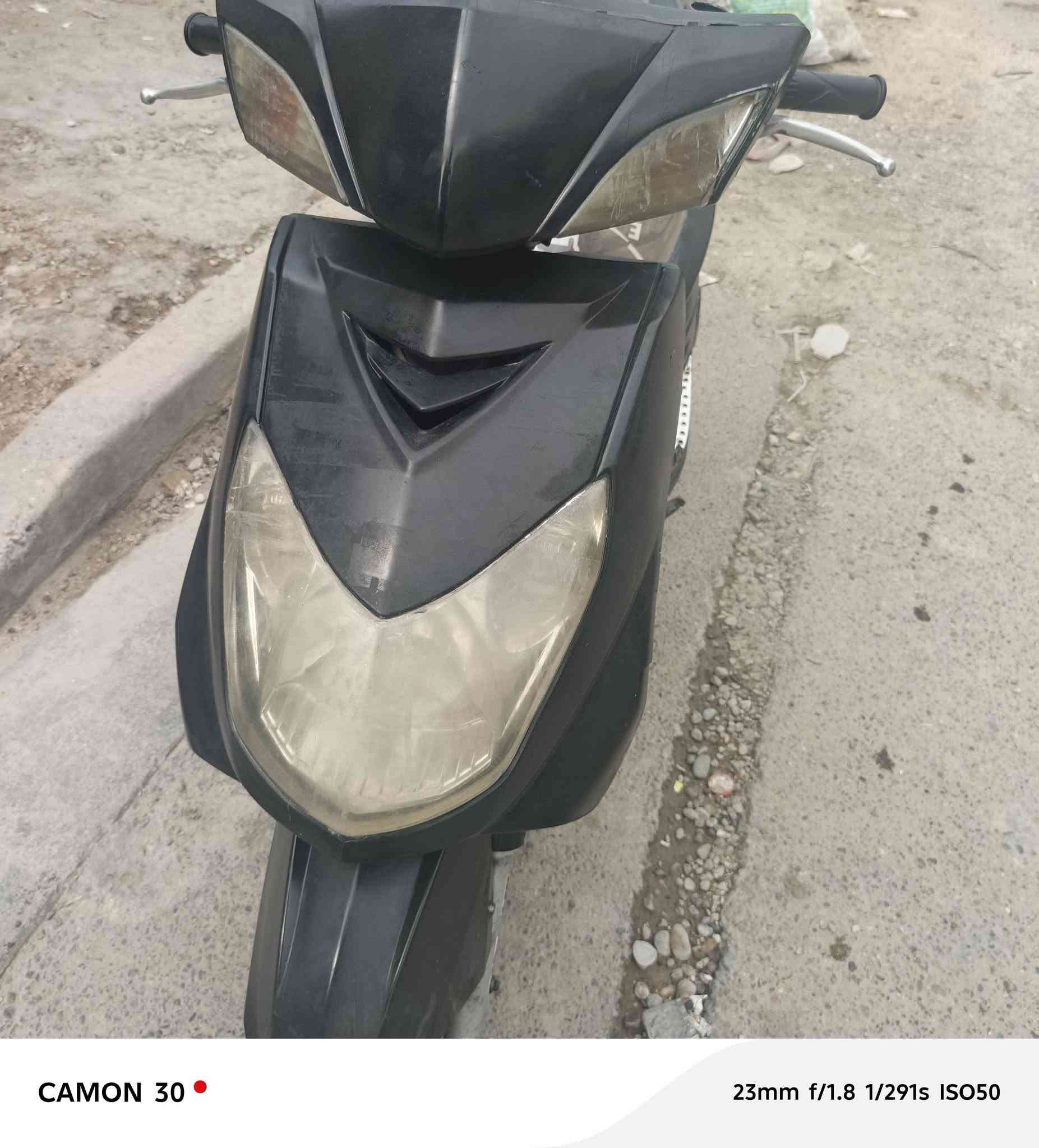 سكنس فحل • شغال • معدل