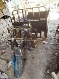 ستوته • بدون أوراق • تاير جديد