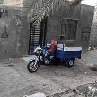 ستوته • كامله • ٢٠٢٣
