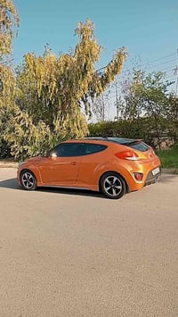 فيلوستر • ٢٠١٤ • بغداد عامرية