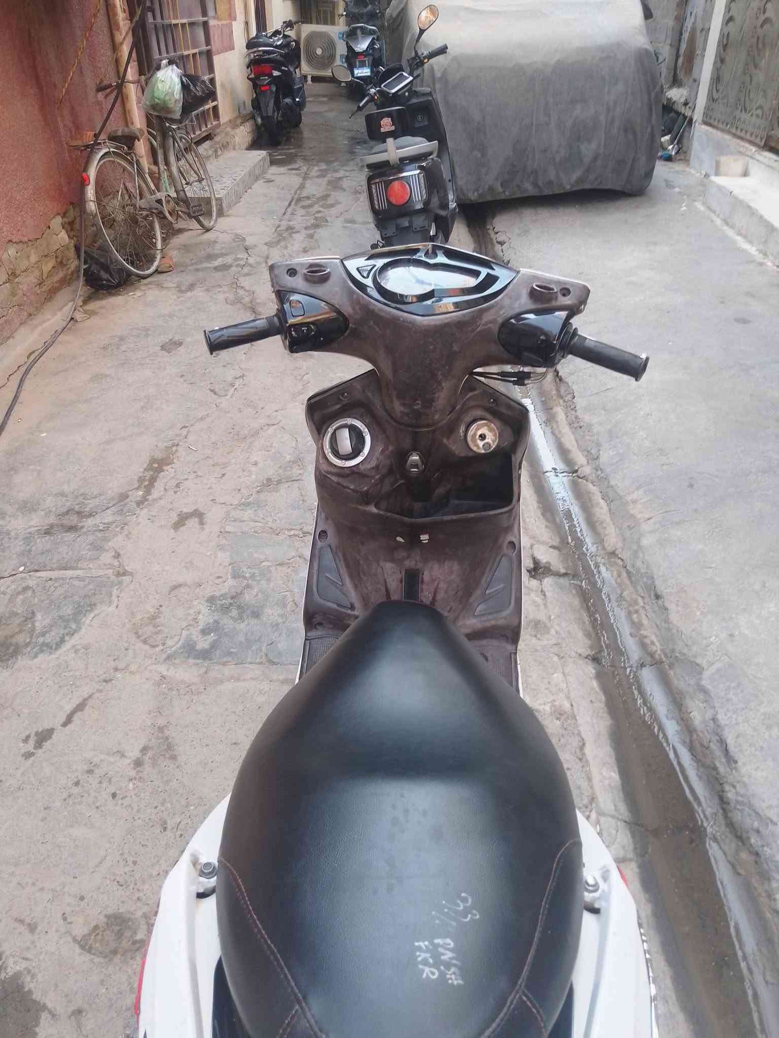 سكنس • ياباني • سلف