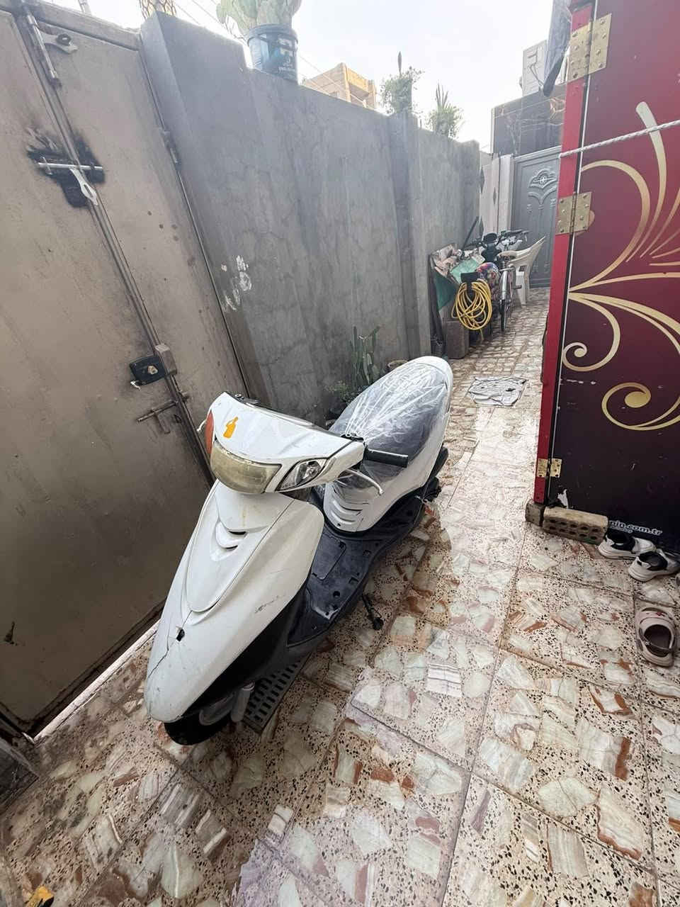 اكزز • ياباني • نضيف