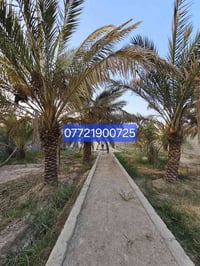 بستان • ١٠٧٠م • مطلة ع نهر