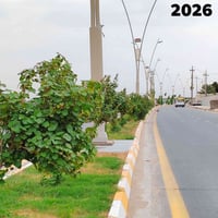 تشجير • الناصرية • ٢٠٢٥-٢٠٢٦