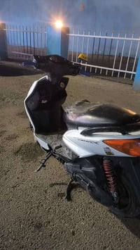 سكنس فحل • جاهزه • دوام