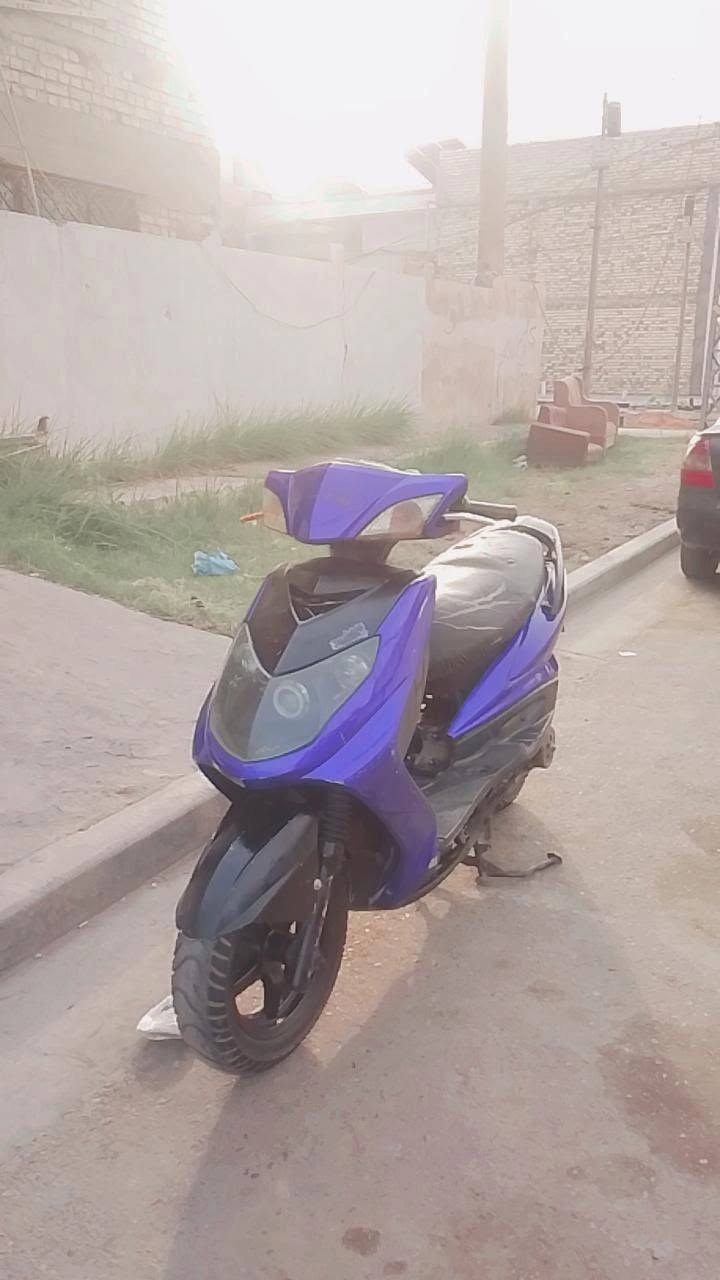 سكنس فحل • كاملة • سلف