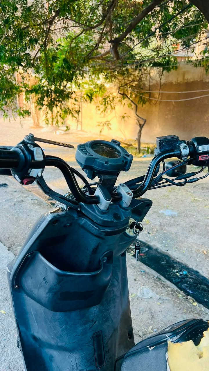 معروفة سكنس جبلي دراجة بلادية وكفاله يولد مابيهة اينقص وناعمة شوفت عينك (سعرهة واحد 100)مكاني بعقوبه حي المعلمين وني خادم ***********
