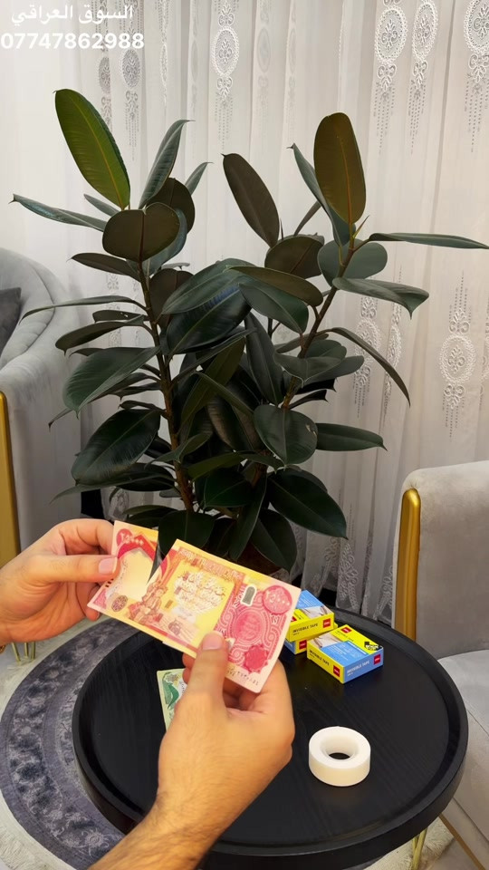 

نص مكتوب في الصور:
- السوق العراقي
- ***********