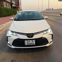 كورلا خليجي • ٢٠٢٤ • بصرة