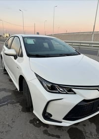 كورلا خليجي • ٢٠٢٥ • رقم اربيل