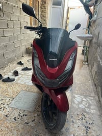 بي اس اكس جيل الرابع • حساسات فول • ماروني دم الغزال
