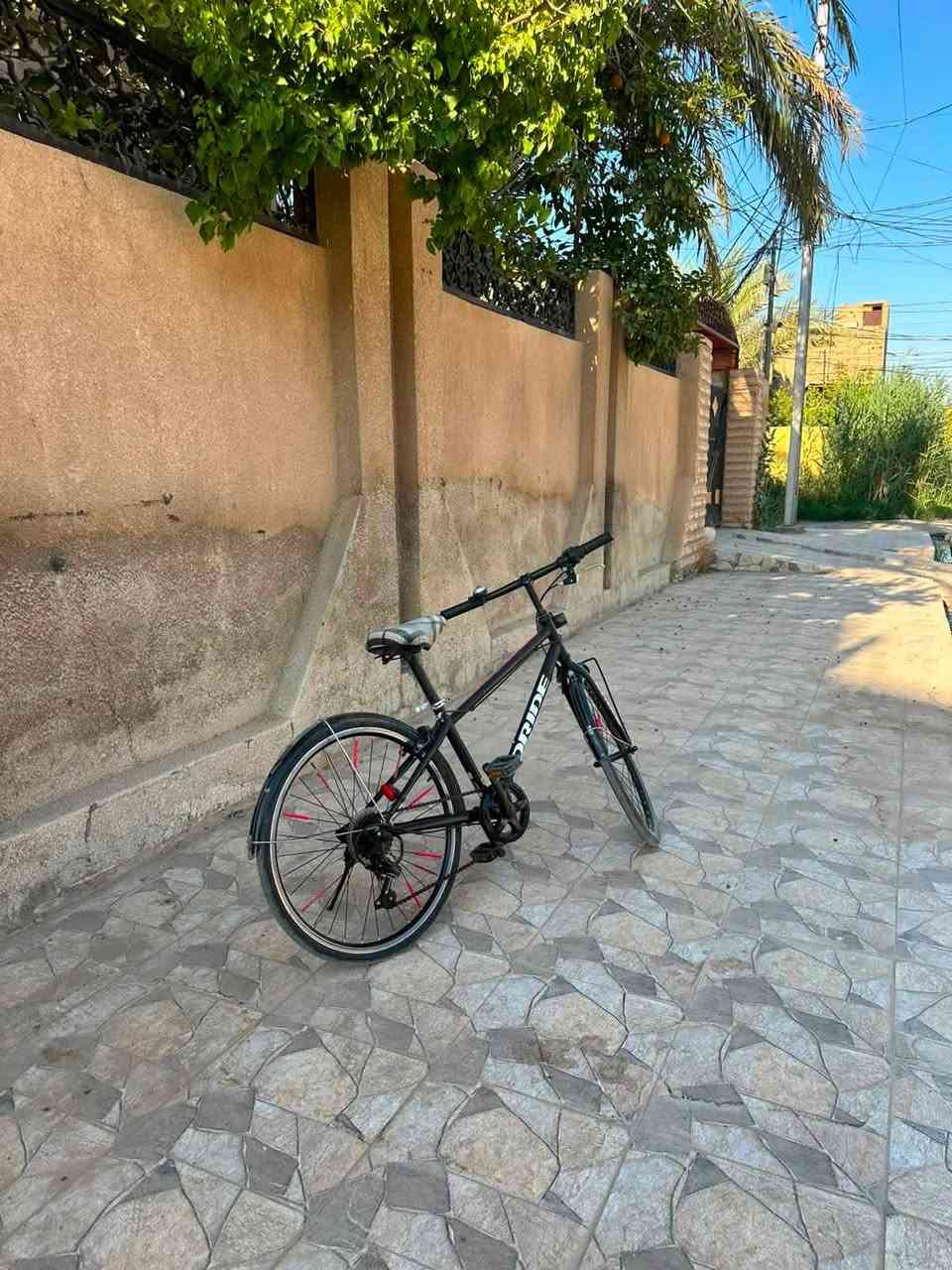 بايسكل كيمو حجم ٢٤ 🚲🚲
من شركة Dride
بايسكل حاوية اصلي 
بداله عقرب 🦂 
٦ سرعات ⚡️
السعر💲💵: 85 ألف و بيه مجال 
للاستفسار: 
 ***********
