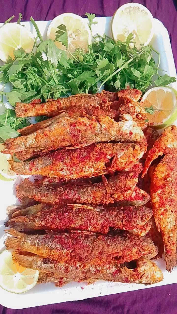 حرش شط • مقلي • توصيل السماوه