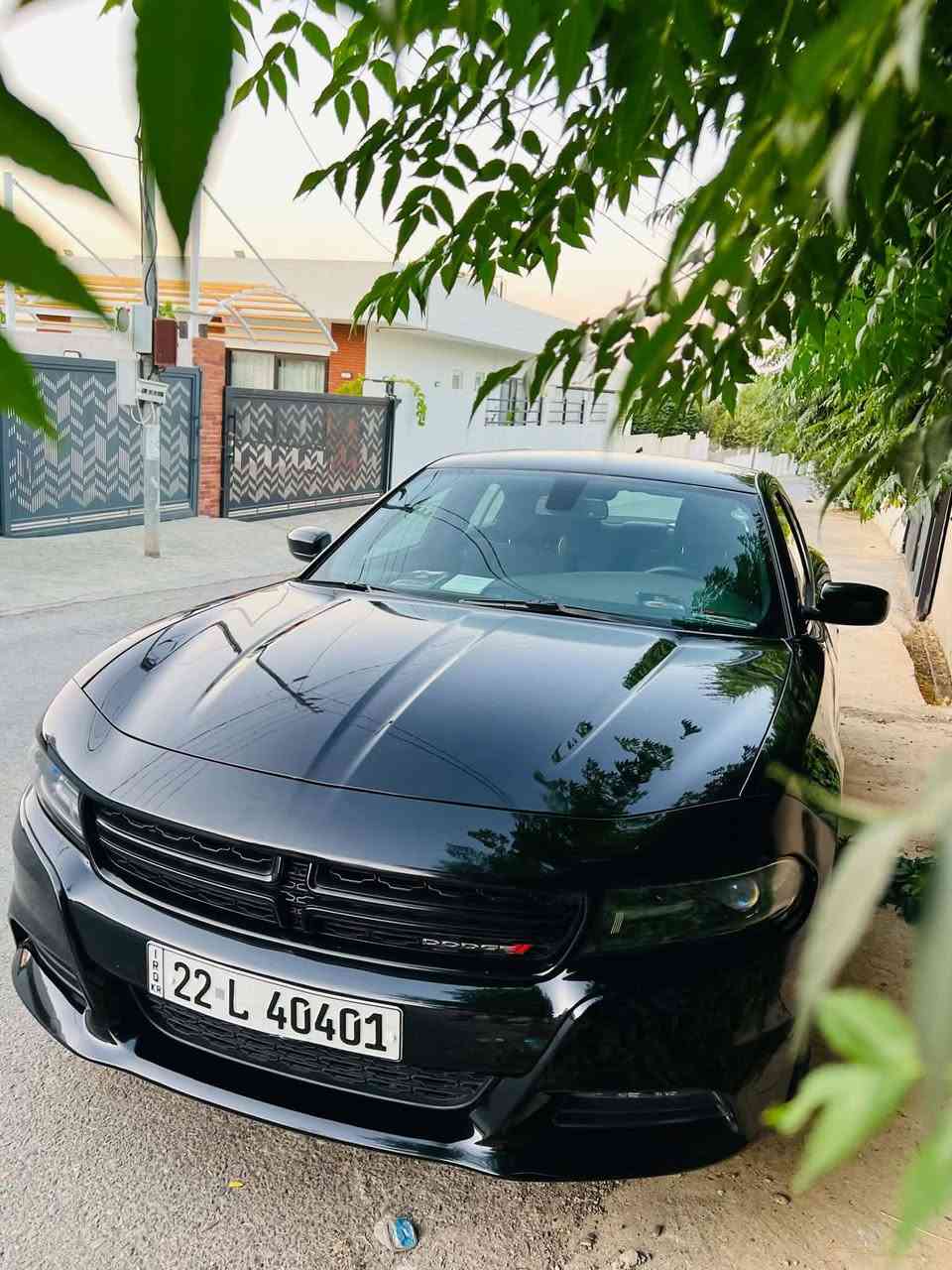 Dodge charger 2017  SXT
دوج چارجر ٢٠١٧ کلین تایتل
مواسەفات sxt
شاشەگەورە
بەصمە
شەخال
دەرگا بەصمە
کوشن کارەبا
حاسە
کامیرا
گێڕو مە کینەی بەشەرت نەکراوەتەوە
بێ بۆیاخو بێ ساردو بێ پارچە گۆڕانە تەنانەت دەعمیەکانیشی بە شەرت بۆیاخی نیە
هەموو گیانی بە شەرت
لە سەر دەقی شەریکە ماوە
دەعمی بۆ دەعمی بە شەرت
شوین سلیمانی 
***********

