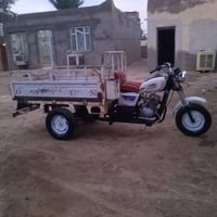 سوته • موديل ١٦ • اوراق اصولي