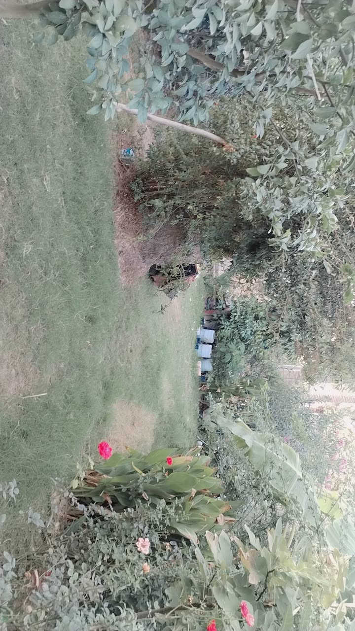 سلام عليكم عندي ربع دونم ٦٢٥ متر مربع ٢٤في٢٦ سند ٢٥ طابو صرف زراعي بي بيت جديد يحتوي على ٢غرفه نوم +حولي جبير وخدمات واستقبال ومطبخ كافت الخدمات موجوده ماء كهرباء مدارس بغداد الراشديه ساده البحيات قريبه على الشارع الرئيسي فحامه راشديه مزروعه حمضيات وبرتقال السعر ١٥٥ مليون للستفسار اكثر اتصل *********** بي وتساب
