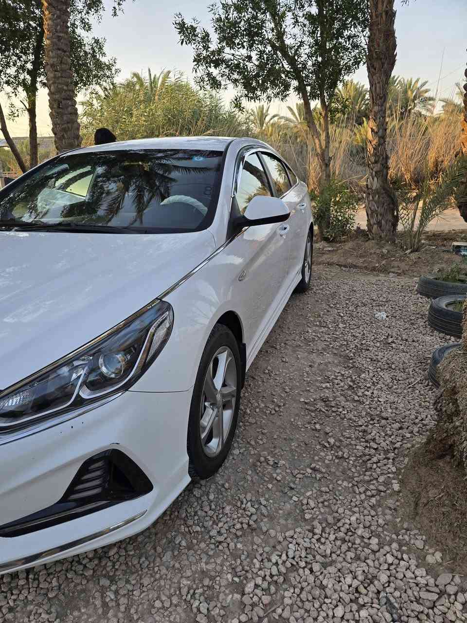 سوناتا غاز • ٢٠٢٢ • كفالة
