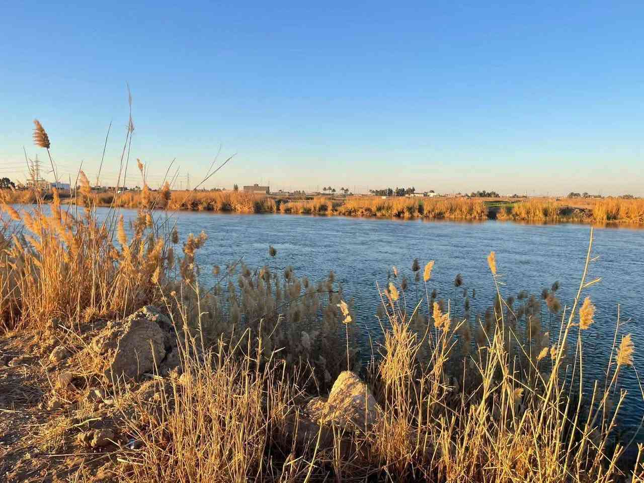 🌊 قطعة أرض شاطئية مميزة للبيع | فرصة استثمارية نادرة 🌿

📍 الموقع: الرمادي – ناحية اليرموك – بالقرب من جسر الشيخ علي حاتم
📐 المساحة: خمسة دونم أو أقل، وتُحسب المساحة الفعلية عند البيع.

📜 طابو زراعي سند ٢٥ – تحويل مباشر ✅

⭐ مميزات الموقع:
🔹 تقع الأرض بين السدة ونهر الفرات
🔹 واجهة مميزة على السدة بطول ٣٢ متر
🔹 واجهة ثانية مباشرة على النهر بطول ٤١ متر
🔹 موقع جغرافي مميز وخصوصية عالية
🔹 مناسبة للزراعة والاستثمار والسكن
🔹 تصلح لإنشاء مزرعة، استراحة، منتجع، مشروع سياحي أو أي مشروع استثماري مناسب للموقع
🔹 متوفر الماء والكهرباء والتبليط
يوجد طريق نازل من السده إلى نهر الفرات خارج حدود الأرض 
💰 السعر والاستفسار:
📞 *********** — واتساب
📞 *********** — واتساب

📩 أو مراسلة الصفحة في أي وقت.

🙏 نعتذر عن التأخير عن الرد في بعض الأحيان، ونقدّر تفهّمكم.

🏠 مكتب عدنان العسافي للخدمات العقارية
📍 نستقبل جميع العروض العقارية في مدينة الرمادي.

أبو أحمد

#أرض_للبيع #أراضي_للبيع #أرض_شاطئية #أرض_على_النهر #نهر_الفرات #السدة #الرمادي #ناحية_اليرموك #زنگورة #عقارات_الرمادي #عقارات_الانبار #عقارات_العراق #أراضي_زراعية #طابو_زراعي #سند_25 #تحويل_مباشر #استثمار_عقاري #مشروع_استثماري #استثمار #مزرعة #مزرعة_للبيع #استراحة #مشروع_سياحي #سكن #بيت_العمر #عروض_عقارية #مكتب_عقاري #الخدمات_العقارية #عقارات #عقار #الانبار #مدينة_الرمادي #نهر_الفرات_الرماديإ
