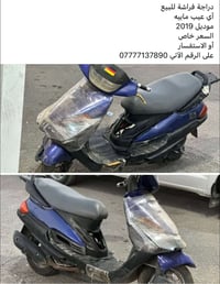 فراشة • ٢٠١٩ • نضيف