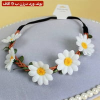 الشورجة • تجهيز • جملة