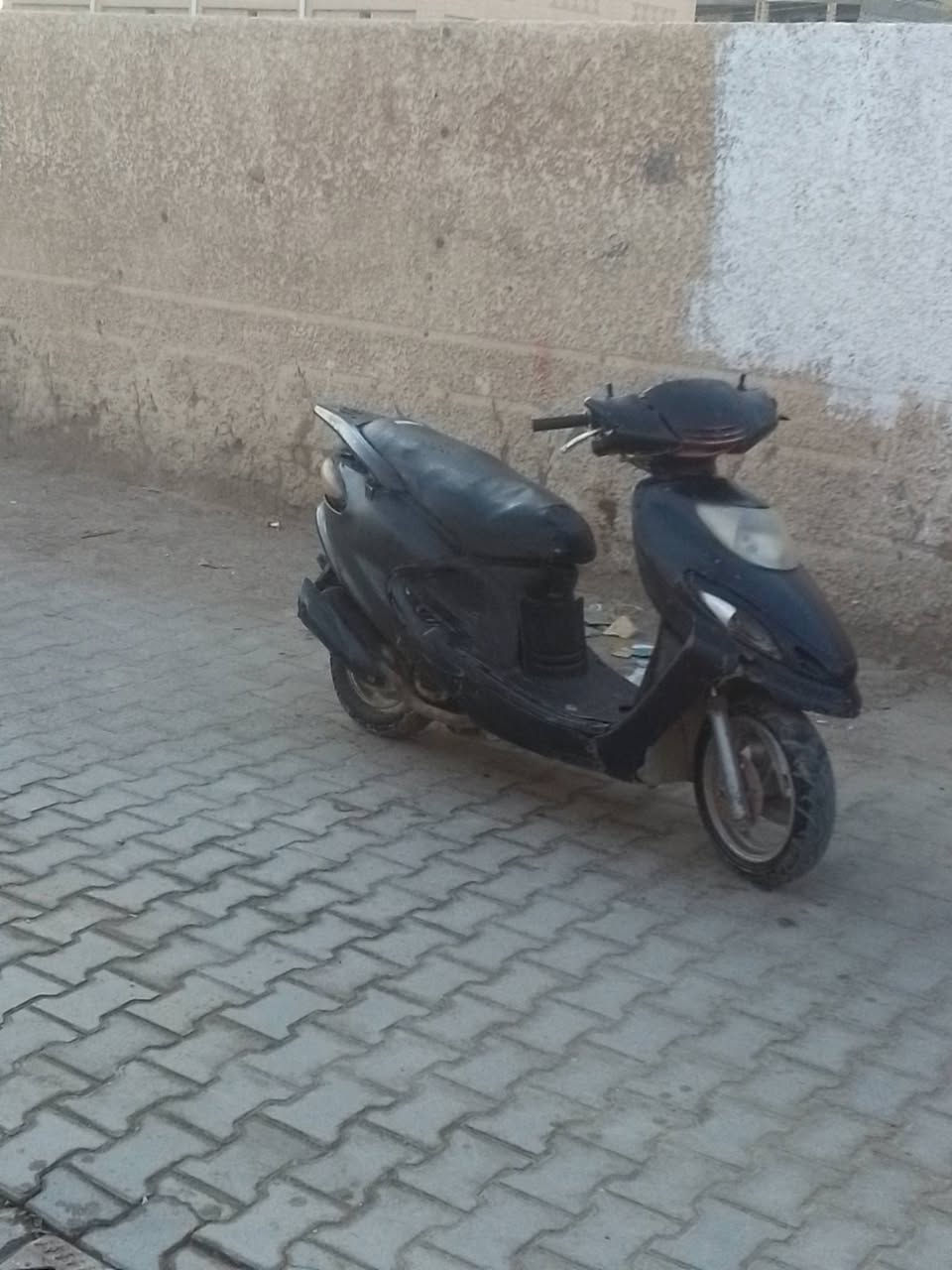 دولفين • فحل • تبخير