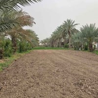 أبي الخصيب • ٧٣٠م • طابو زراعي