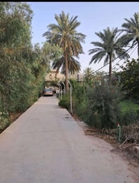 بستان الخشالي • سند • ١٢٠٠م