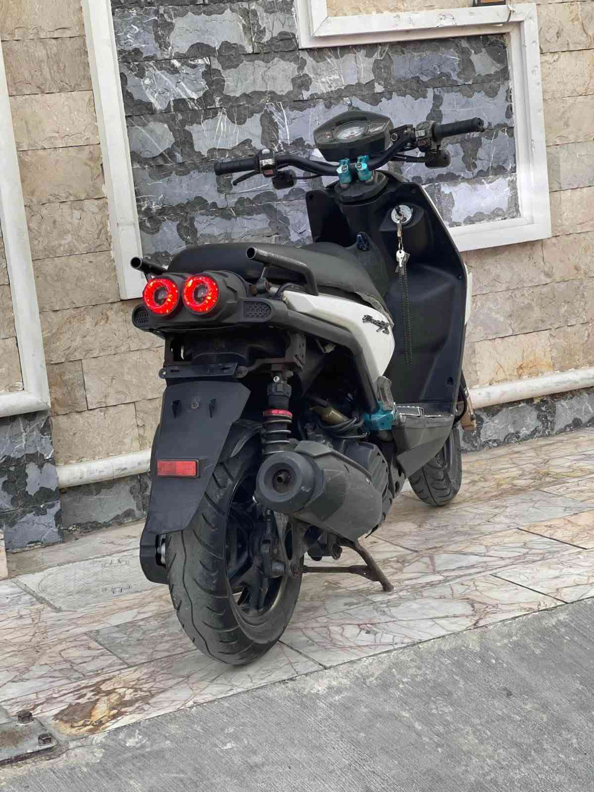 سكنس جبلي • كفالة • زنون