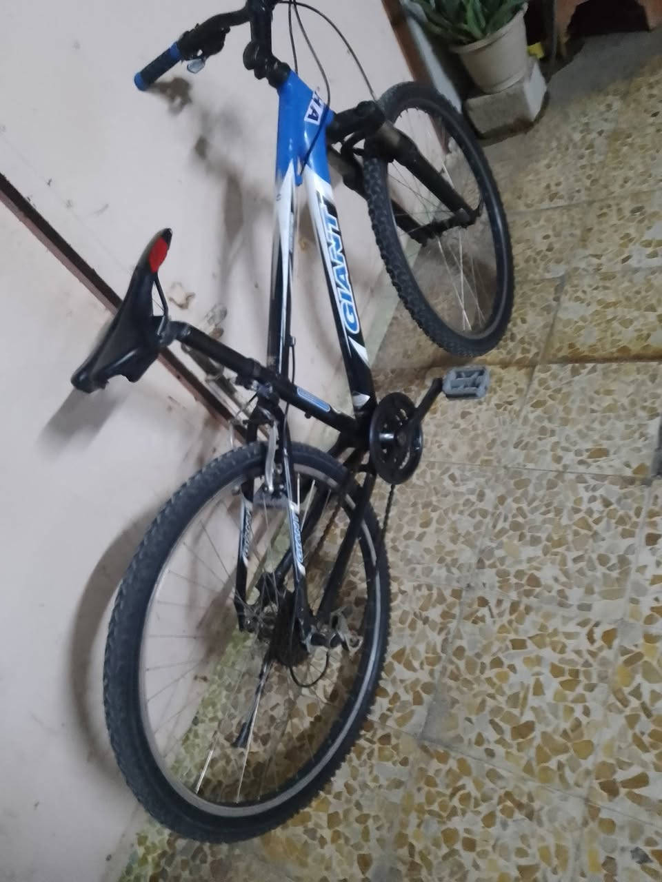 جينت • بايسكل رياضي • دبل عاطل