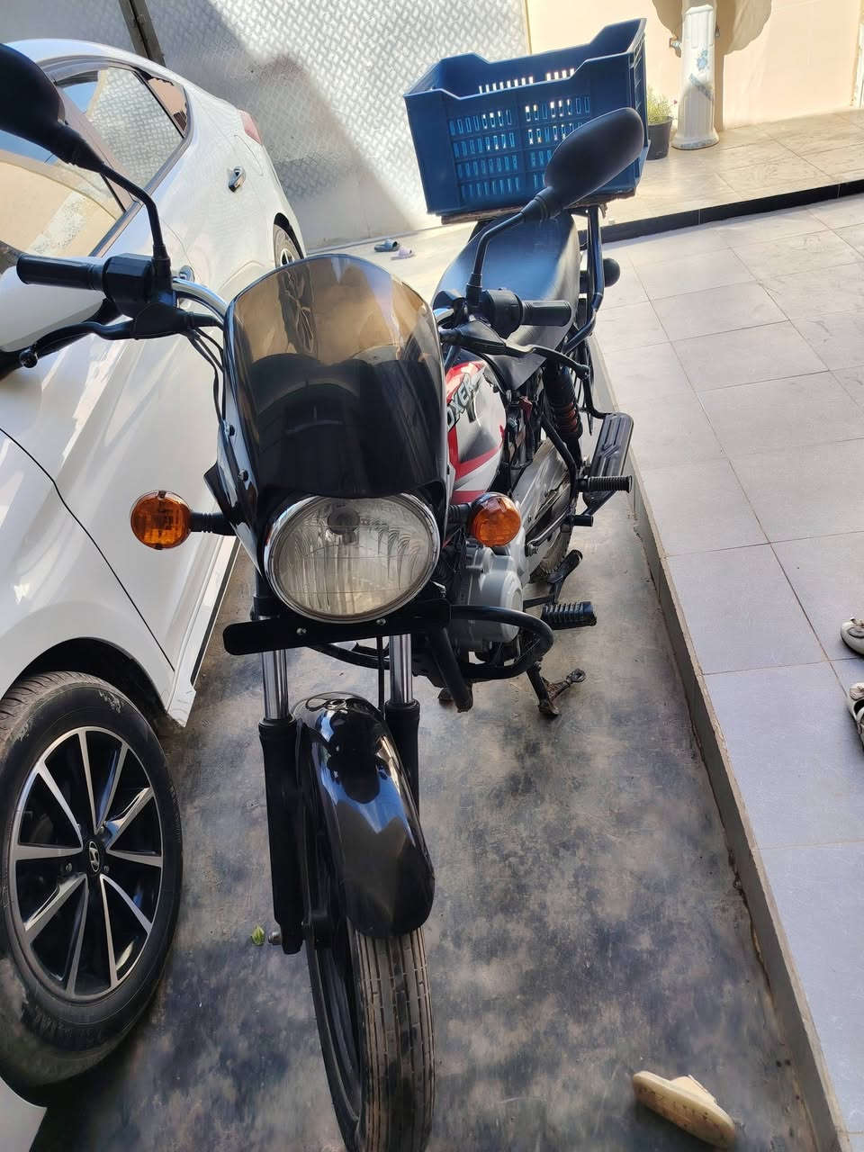 بوكسر • ٢٠٢٣ • بغداد