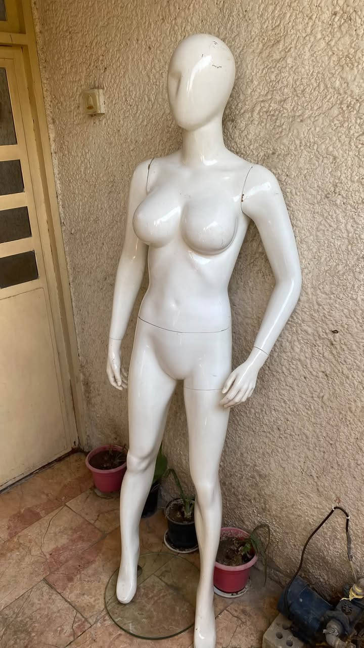 مليكانه للبيع 50 الف ***********
