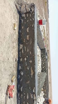 حسب الطلب • يومية • مكطوعه