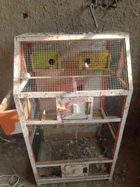 قفص • للبيع