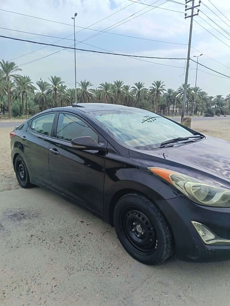 النترا • ٢٠١١ • وارد أمريكي