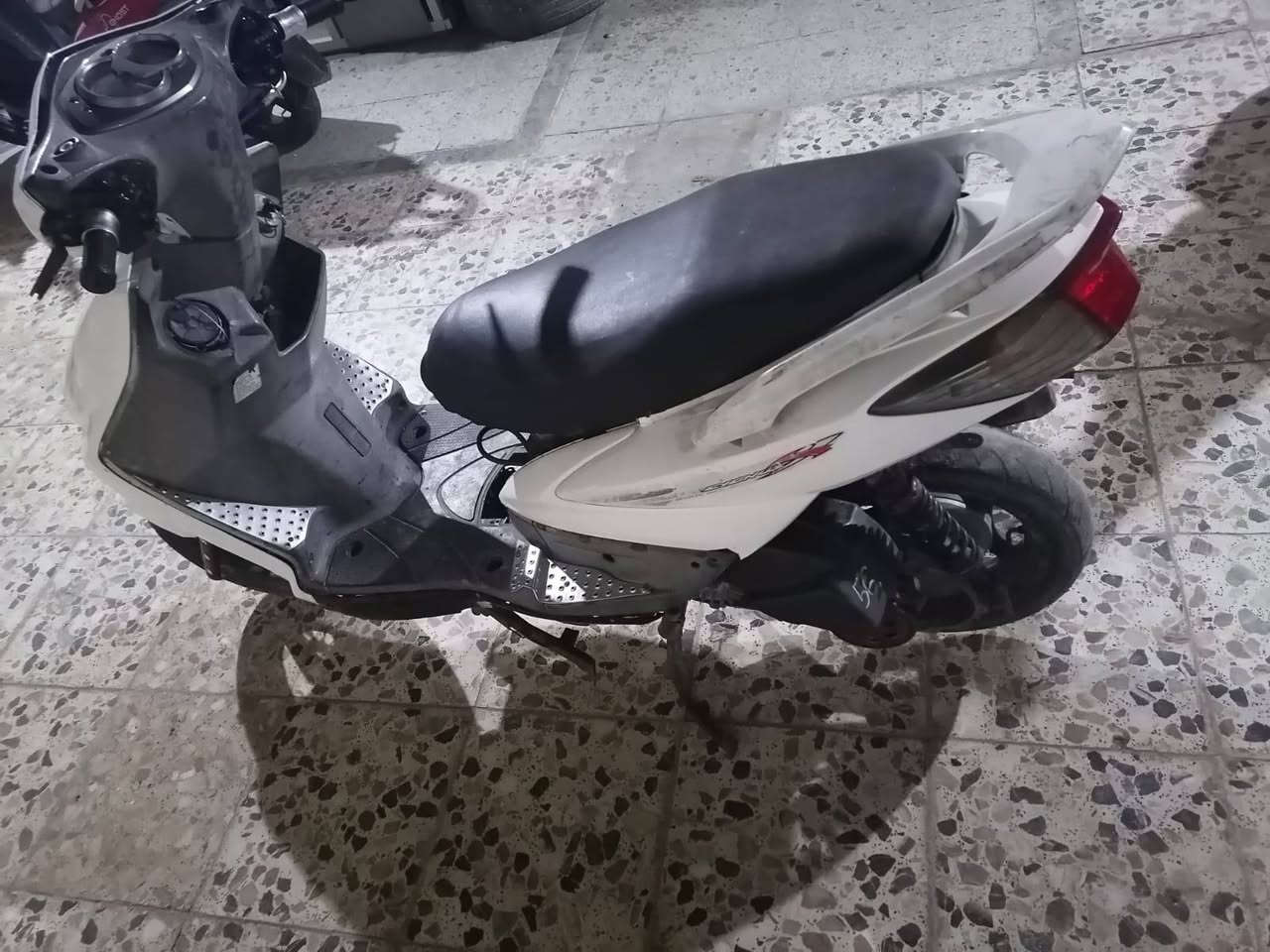سكنس فحل • نجف • مراوس
