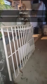 سليمانية • كنبتين