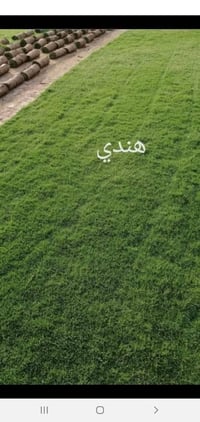 ثيل • ديالى • جودة عالية