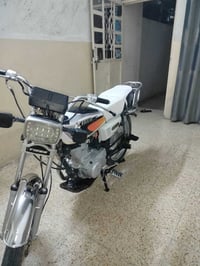 تايگر2020 • وزن ثقيل • كلها شغاله