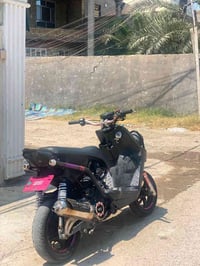 سكنس جبلي • ناشفه • بكلايت R6