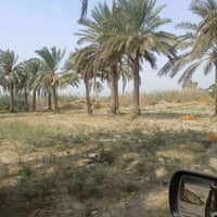 العماديه • طابو زراعي • ٥٩٠٠م
