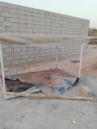محجر • ستوته • للبيع