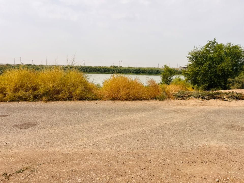 سلام عليكم
كاع 17 دونم عقد 35 وجه عل شط مع بيت كاع صالحه للزراعه في واسط الموفقيه 
***********

