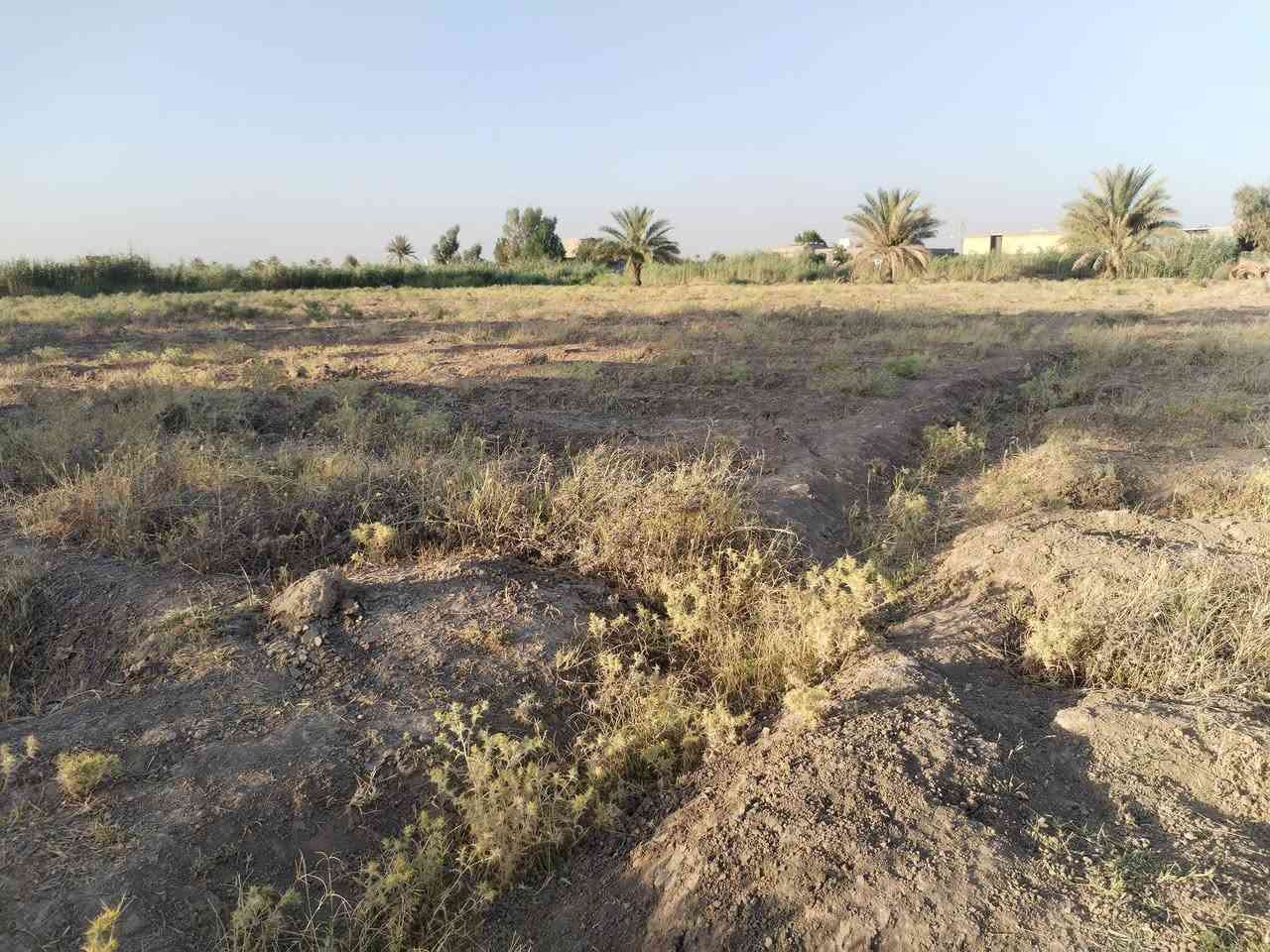 سلام عليكم قطعة أرض زراعي سند 35مساحة دونم و نص للبيع الطيفيه حي القادسية قرب مدرسة الاصاله للبنين للأستفسار ا*********** ***********
